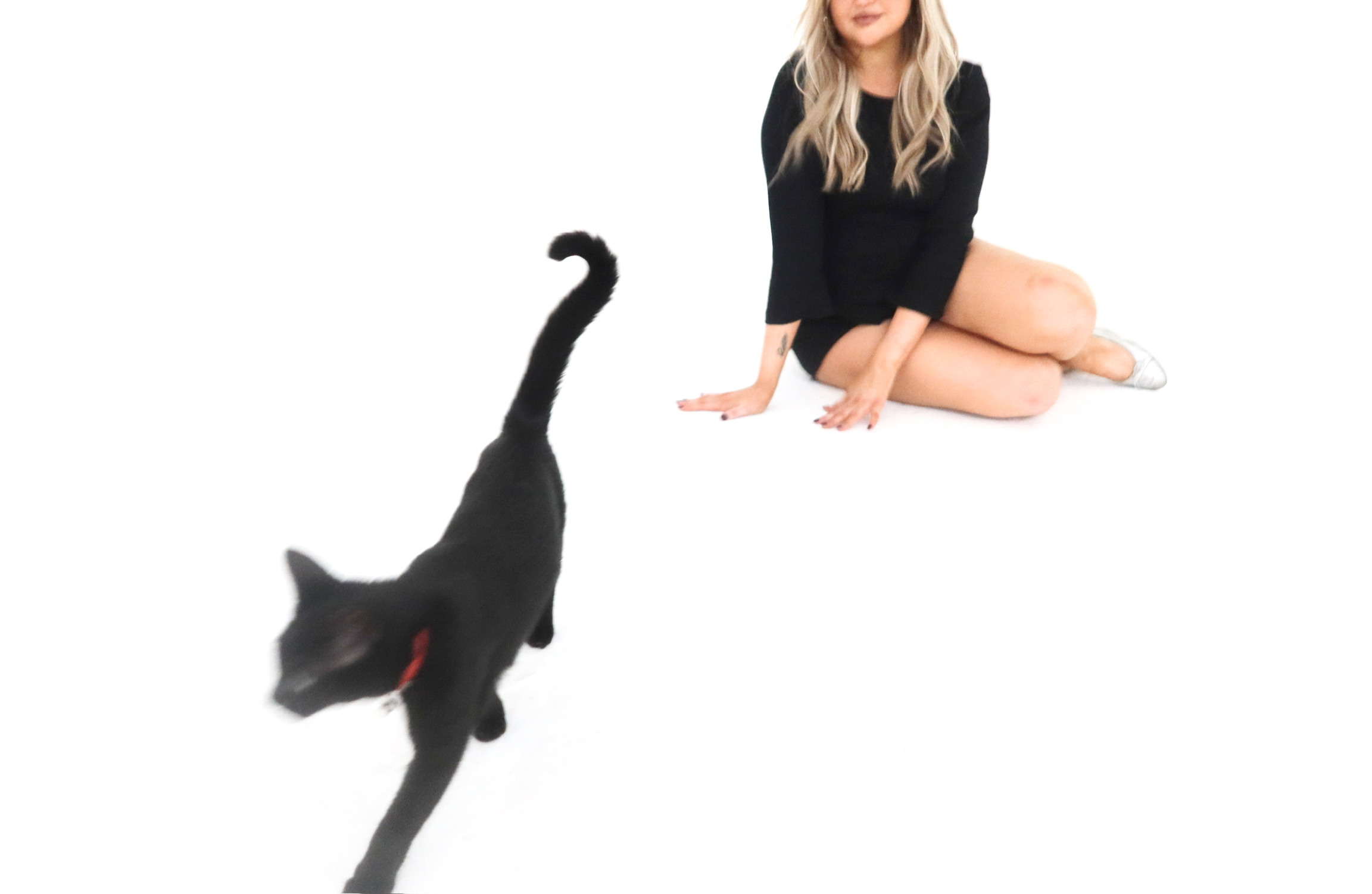 pet